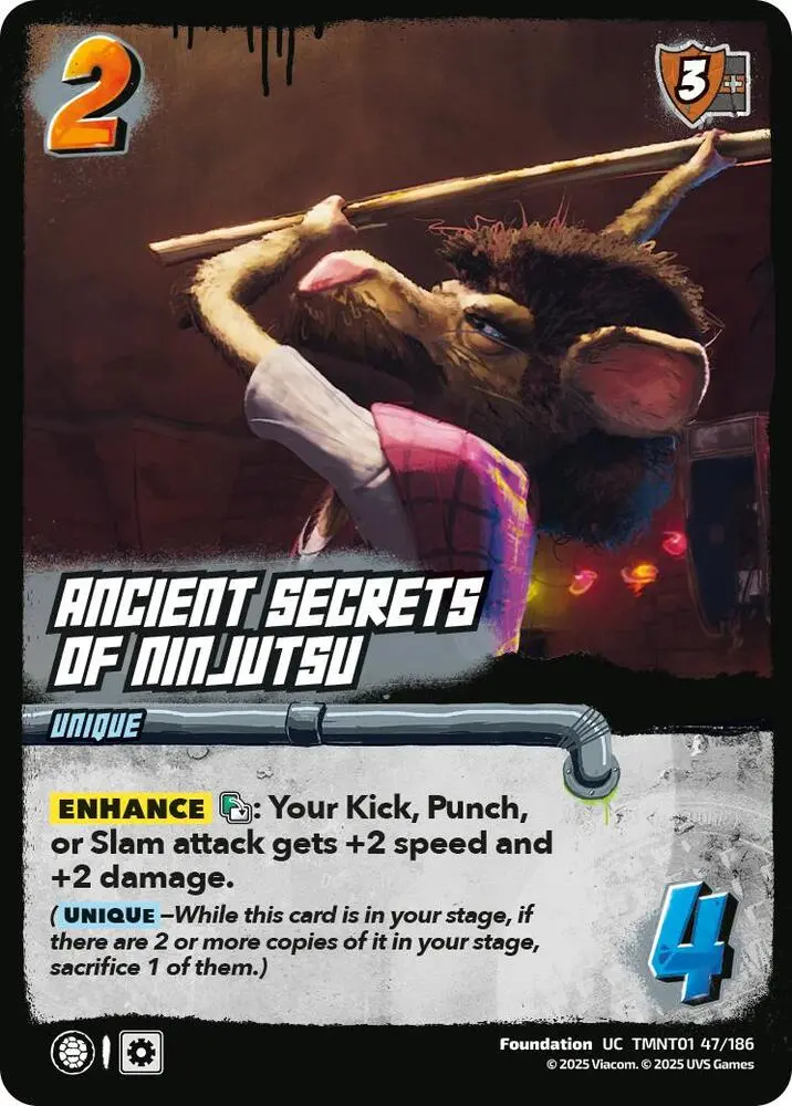 Ancient Secrets Of Ninjutsu - Teenage Mutant Ninja Turtles (Tmnt) 1