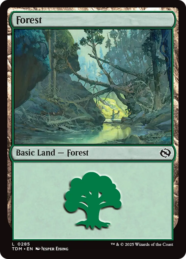 Forest (0285) [Tarkir: Dragonstorm] 1