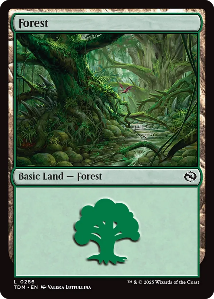 Forest (0286) [Tarkir: Dragonstorm] 1