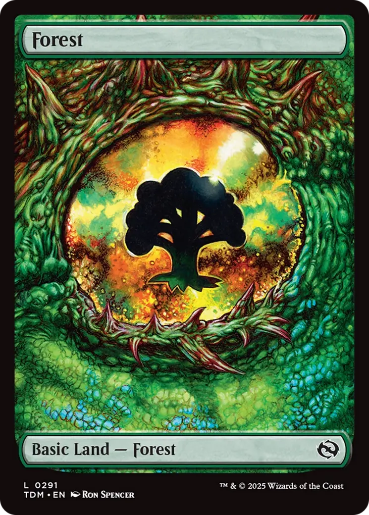 Forest (0291) [Tarkir: Dragonstorm] 1