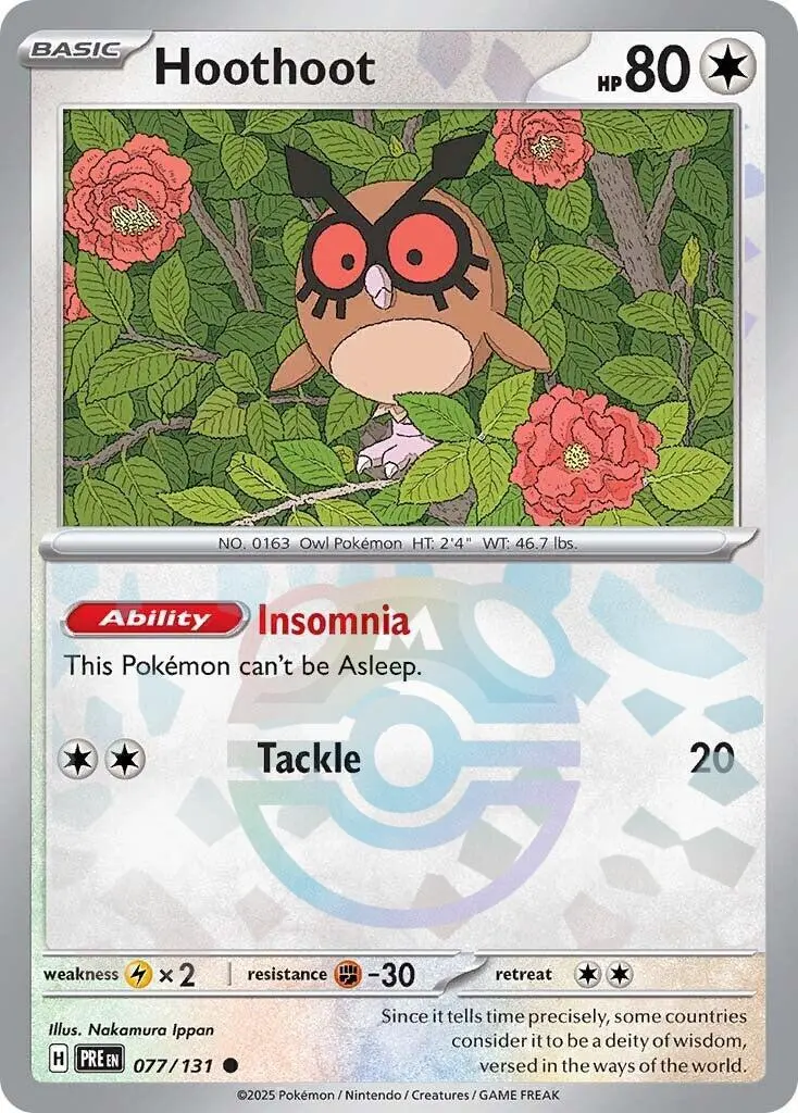 Hoothoot (077/131) (Master Ball Pattern) [Scarlet & Violet: Prismatic Evolutions] 1