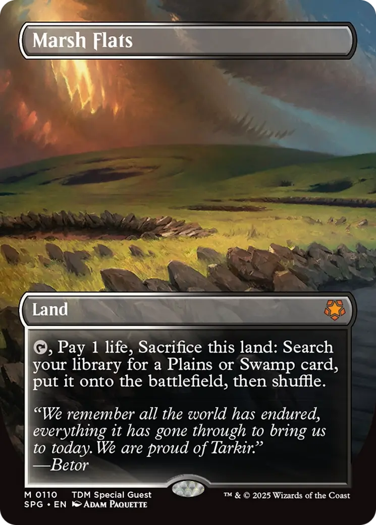 Marsh Flats (Borderless) [Tarkir: Dragonstorm Special Guests] 1