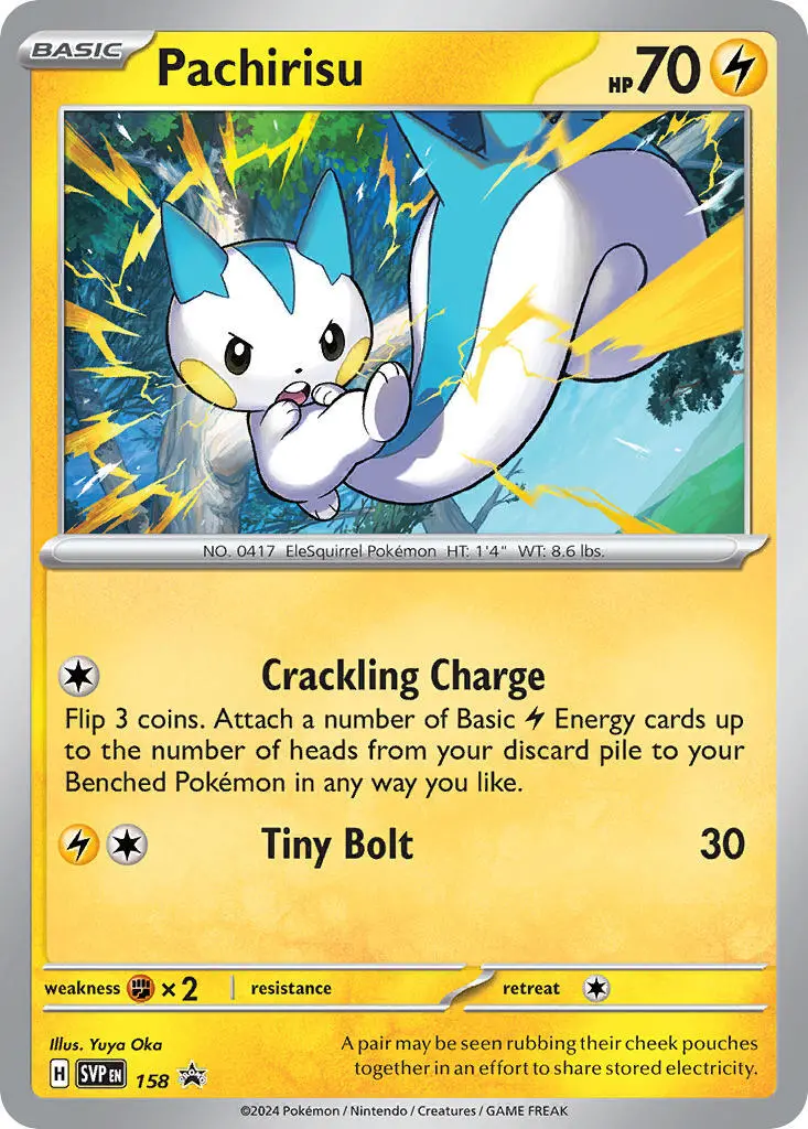 Pachirisu (158) [Scarlet & Violet: Black Star Promos] 1