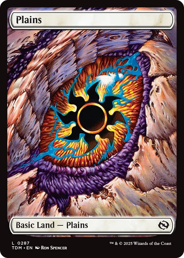 Plains (0287) [Tarkir: Dragonstorm] 1