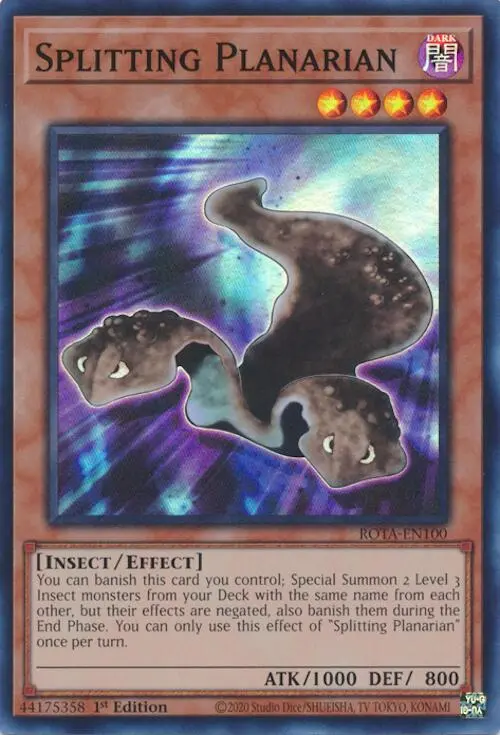Splitting Planarian [Rota-En100] Super Rare 1