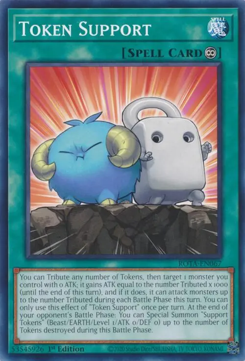 Token Support [Rota-En067] Common 1