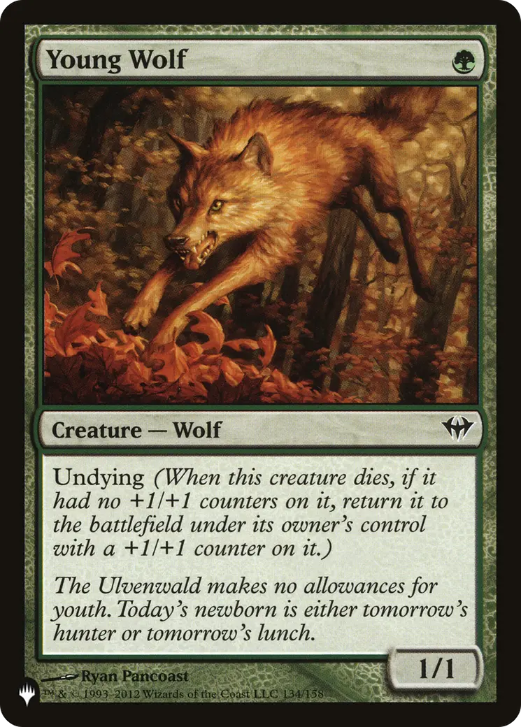 Young Wolf [The List] 1