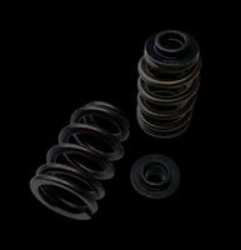 Brian Crower Polaris Xp1000/Xpturbo/Xp900 Beehive Spring/Steel Retainer/Seat Kit 1
