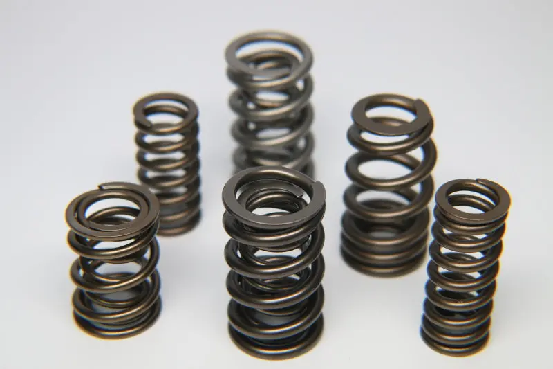 Ferrea Dual Pro Pac Alloy Valve Spring Kit For Chevrolet Ls1/Ls7 Engines (Includes 5/16" Conversion) 1