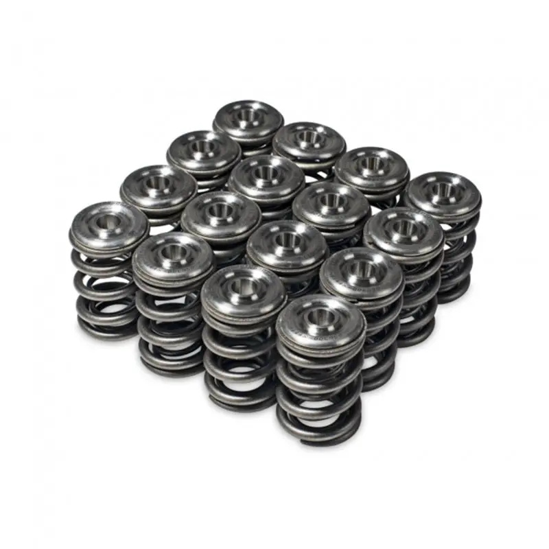 Skunk2 Alpha Series Valve Spring & Titanium Retainer Kit For Honda/Acura H-Series Engines 1